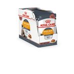 Royal Canin Intense Beauty Gravy Adult Cat Seafood, 85g (12 Pack)