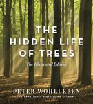 The Hidden Life of Trees: The Illustrated Edition (David Suzuki Institute)