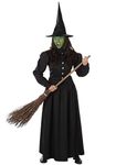 Karnival Costumes Wicked Witch Women's Costume Large Black