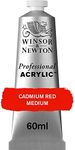 Winsor & Newton Professional Acrylic Paint, Cadmium Red Medium, 60 ml Tube
