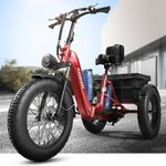 Electric Tricycle for Adult, 110 Mi