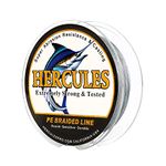 HERCULES Super Cast 100M 109 Yards Braided Fishing Line 30 LB Test for Saltwater Freshwater PE Braid Fish Lines Superline 8 Strands - Grey, 30LB (13.6KG), 0.28MM