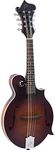 The Loar LM-310F-BRB Honey Creek F-