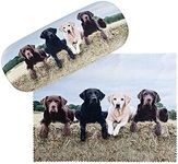 VON LILIENFELD Labrador Retriever Glasses Case Present Cleaning Cloth Spectacle Cases Lightweight Stable Dog Animal