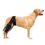 Knee Support For Dogs