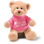 GUND Message Bear - Big Sister