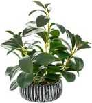 AlphaAcc Artificial Plants Decor Greenery Fake Succulents Indoor Potted Fake Plant with Rustic Black Clay Planter for Farmhouse Room Bathroom Bedroom Kitchen Office Table Desk Decor