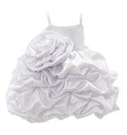 PINK WINGS Baby Girl Tutu Knee-Length Dress (12-18 Months, White)