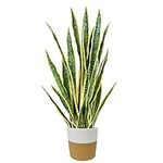 Homeplants Artificial Snake Plant, 36" Fake Sansevieria with Woven Basket, Large Faux Desk Plants for Indoor Home Office Decoration, Perfect Mother in Law Plants