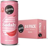 Remedy Sodaly - All Natural No Suga