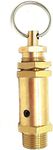 MAXAIR Brass Heavy Duty Safety Valve Air Release Valve for Air Compressor (1/2 INCH BSP)