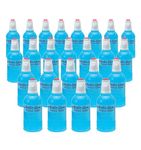 Pentel Roll n Glue class pack - 24 x 55ml bottles