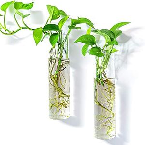 Kingbuy Wall Hanging Plant Terrarium Propagation Station Glass Planter for Home Office Decor, Large Cylinder Vase, 2 Pack