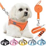 HPETHF Dog Harness for Small Dogs Leashes Set,Soft No Pull Adjustable Breathable Mesh Leash and Harness Vest Belt for Puppy,Small,Medium Dogs and Cats.（OE-M）