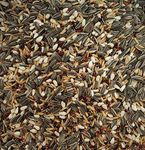 Pets Wizard Bird Food For African & Cocktail 13 Mix Seeds, 450 Grams, For All Life Stages