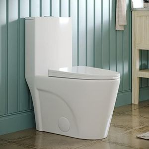 DeerValley Elongated One Piece Toilet with Comfortable Chair Seat Height 17", Dual Power Flush Toilet 1.1/1.6 GPF and 12'' Rough-In Toilet Bowl DV-1F52102