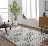 Hauteloom Najia Modern Abstract Area Rug - Contemporary Broken Striped Carpet for Living Room, Bedroom, Dining Room - Black and White Rug - Gray, Ivory - 7'10" x 10' (8x10)