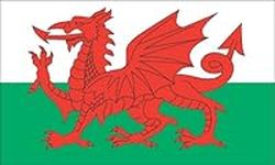 Wales Flag Sticker (Welsh UK Red Dr