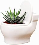 MONMOB Ceramic White Toilet Plant Pot/Bonsai Pot/Flower Pot/Succulent Planter 4.6" Ideal Gifts for Women, Mom or Birthdays