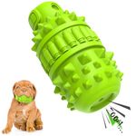 PIFFZEDO Natural Rubber Dog Toy for Small Medium Breed Aggressive Chewer Super Power Dog Chew Toys Squeaky Dog Birthday Toy Dog Toothbrush Interactive Tough Durable Dog Toys(Green,Small)