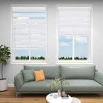 Changshade Blinds for Windows Cordl