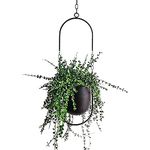 Hanging Decoration Pot Metal Boho Hanging Basket Ceiling Hanging Planter for Indoor Plants Succulents Air Plants Cactus (Black)