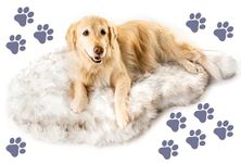 PupRug Orthopedic Dog Bed for Dogs with Soft Faux Fur and Memory Foam for Joint Pain Relief, Machine Washable Waterproof Couch Bed, White, Medium