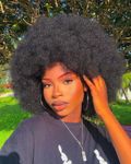 ISAMY 70's Afro Wigs for Black Women Short Curly Afro Kinky Wig Bouncy Huge Fluffy Puff Wigs Premium Synthetic for Cosplay and Daily (Black)