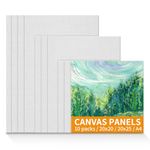 Ciusdkler 10 Pcs Canvas for Painting, (20x20-3pk, 20x25-3pk, A4 21x29.7-4pk), Art Square Canvas Frame Panels, Blank Canvas for Acrylic Painting Oil Painting