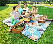 Picnic Plus Picnic Blankets