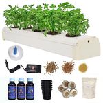 Hydroponic Herb Gardens