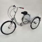 EurHomePlus Adult 24 Inch Bicycle T