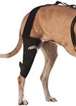 Walkabout canine knee brace (XXSmal