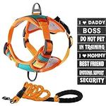 No-Pull Dog Harness Set - Breathable Mesh, with 8 Pairs of Velcro Patches, 360° Rotatable Handle Leash, Adjustable Reflective Pet Vest, Easy Walk Training Service Dog Harness Suitable for All Breeds