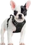 rabbitgoo Dog Harness Small Dog No