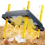 Baquler Chicken Brooder Adjustable Height and Angle Chicken Poultry Coop Heater for Chickens Chicks and Ducklings Quail Warmer(Yellow, 12 Inch)