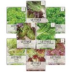 Lettuce Lovers Assortment (8 Individual Packets of Lettuce Seeds) Non-GMO Seeds by Seed Needs