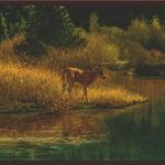 CONCORD WALLCOVERINGS ™ Wallpaper Border Nature Pattern Deers Pond Forest Trees for Living Room Hunting House Cottage Farmhouse, Brown Blue Green Yellow, 15 Feet by 8 Inches ADV2083B