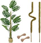 2 Pack 42'' Bendable Moss Pole - Real Forest Moss - Monstera Plant Support - Moss Pole for Plants Monstera - Moss Poles for Climbing Plants - Plant Sticks Support Plant Stakes for Indoor Plants Potted