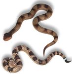 CJMYHOME 2pcs Fake Snakes - Realist