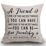 Smooffly Friendship Gifts Decorative Cushion Cover Friend Quotes Throw Pillow Case Home Decorative for Men/Women Living Room Bedroom Sofa Chair 18X18 Inch Pillowcase 45X45cm