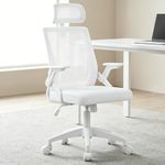 High Back Office Chair Ergonomic Me