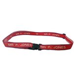 Personalised Luggage Strap - choice of 2 colours!