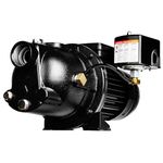 Red Lion 1/2 HP, 7.4 GPM, 115/230 Volt PWJET50 Cast Iron Shallow Well Jet Pump, Black, 97080501