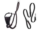 HALTI No Pull Harness Size Medium & HALTI Training Leash Size Large, Black Combination Pack - Stop Your Dog Pulling on the Leash. Adjustable, Lightweight and Easy to Use. Suitable for Medium Dogs