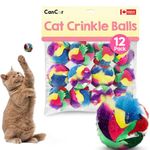 CanCor Innovations Mini Crinkle Ball cat Toy for Indoor Cats Made in Canada Quality cat Toy