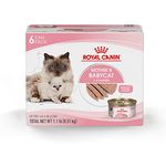 Royal Canin Wet Kitten Foods