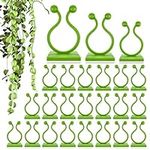 Wall Plant Clips for Climbing Plant