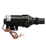 Seachoice Macerator Pump, 12V DC, 1-1/2 In. NPTF Inlet, 1 In. Outlet