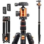 Victiv Camera Tripod Aluminum 81 inch, Tall Tripod/Monopod for DSLR with 36mm Ball Head Supports up to 22 lbs and 16.5 inch When Folded, Heavy Duty Travel Tripod with Carry Bag – Orange